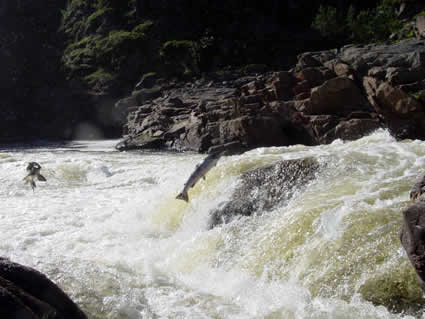 Второй водопад на Харловке, июль